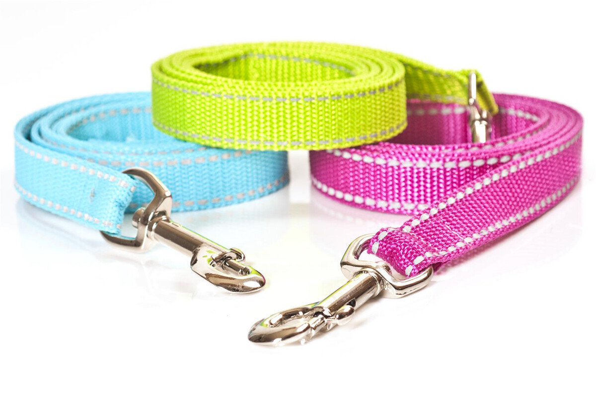Hundeleinen mit Reflektorstreifen