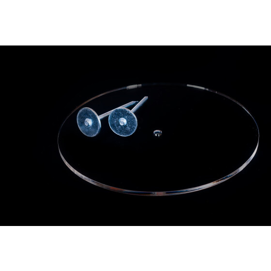 Target, plexiglas in 3 Größen L (13 cm) transparent