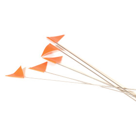 Fähnchen, Marker für Fährtentraining, 5...