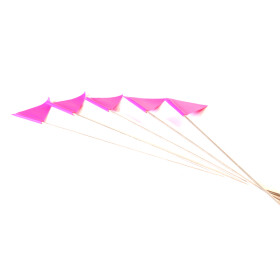 Fähnchen, Marker für Fährtentraining, 5...