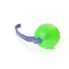 Treat Dispensing Chew-Ball am Seil, von Starmark, grün mit gummiertem Band ohne Handschlaufe 9cm, blaues Band