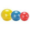 Gymnic Plus Treibball 55