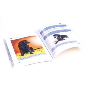 Buch: Hundefotografie -  Perfekte Hundeaufnahmen leicht gemacht