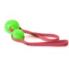 Treat Dispensing Chew-Ball am Seil, von Starmark, grün
