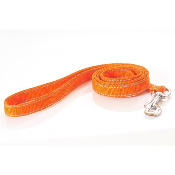 Leine, 20mm breit, ca. 1,2m lang, mit Handschlaufe, reflektierend orange